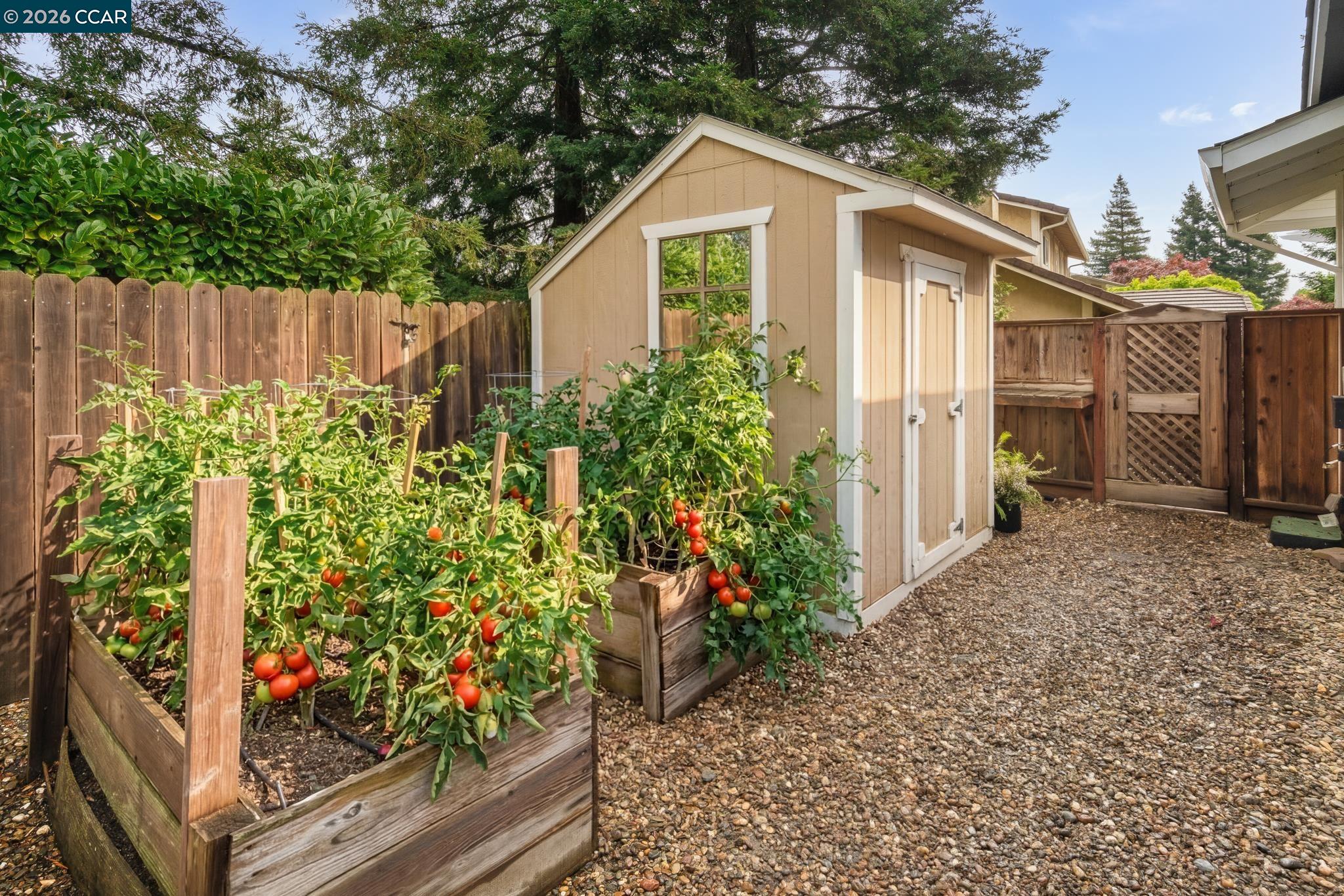 3713 Anderhan Place San Ramon, CA 94583 - Photo 29 of 32