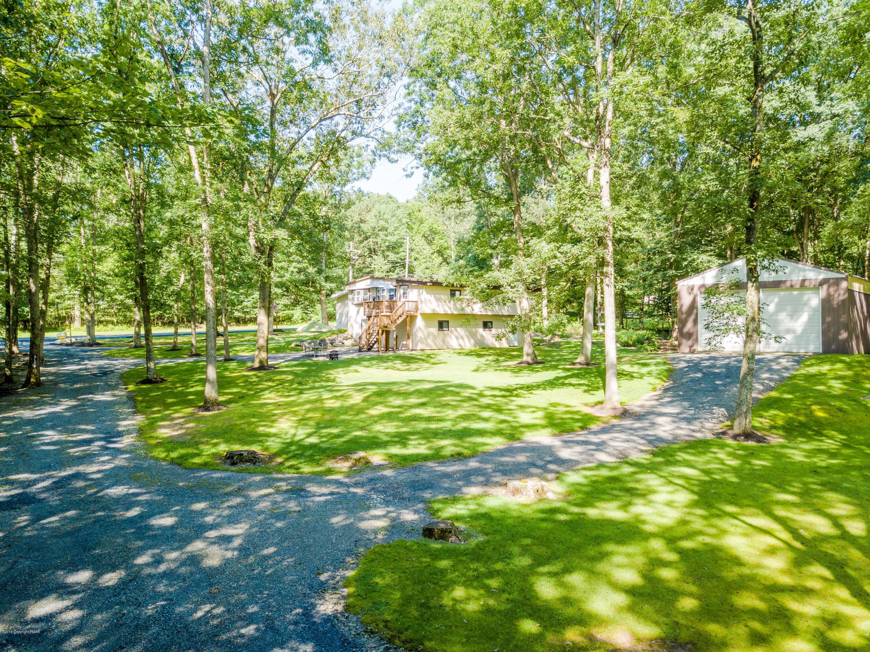a view of a yard with a tree