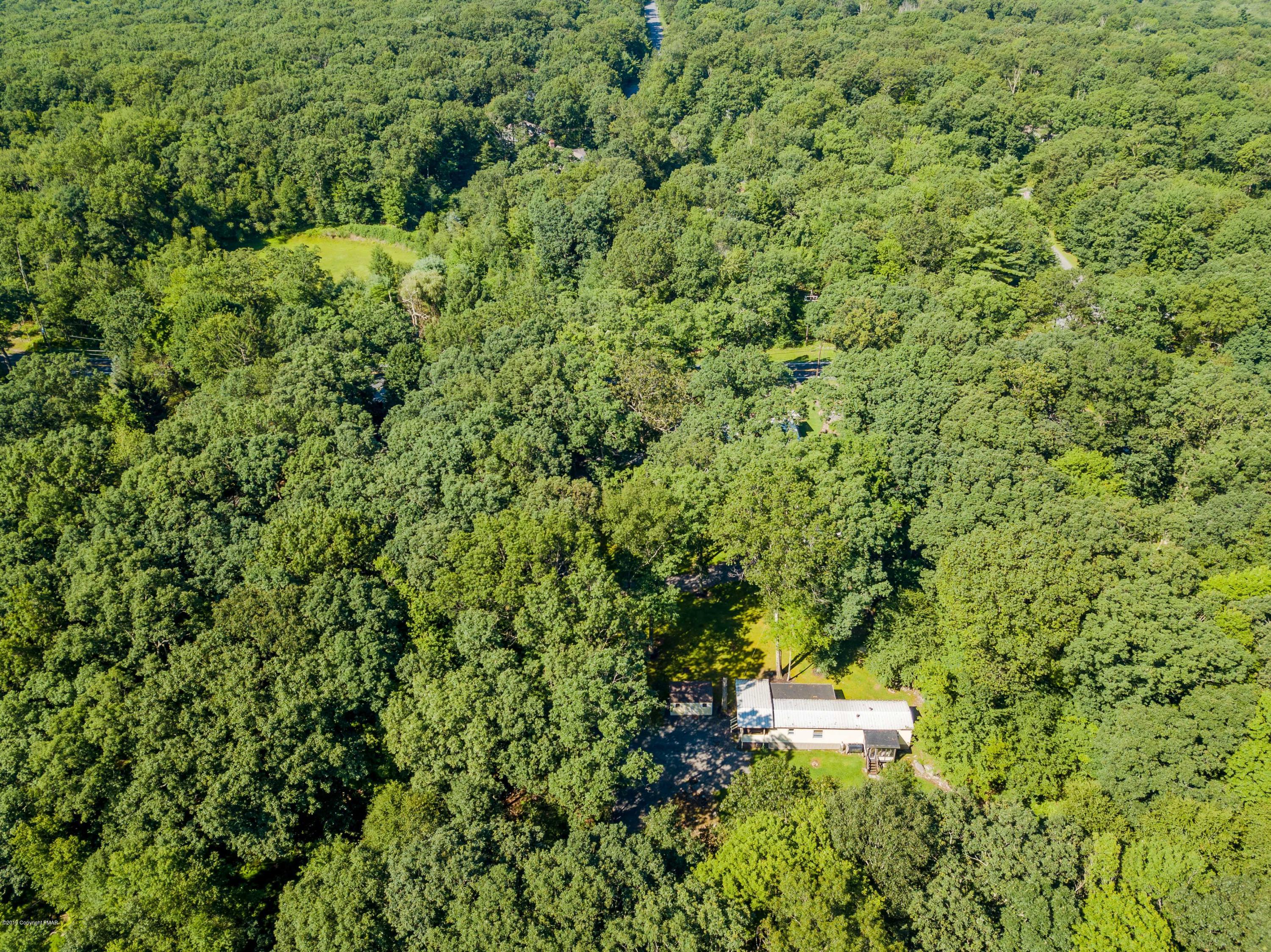 664 Cranberry Road East Stroudsburg, PA 18301 - Photo 14 of 14 a view of a large yard with a tree