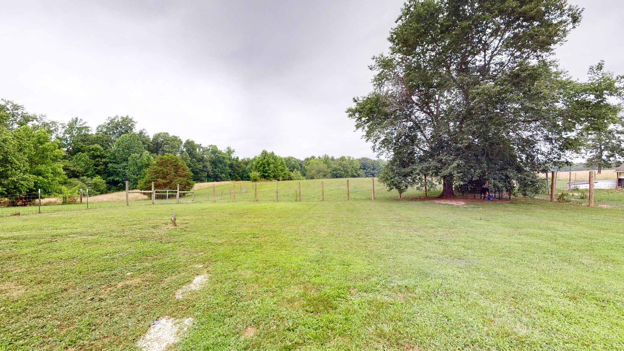 558 Furnace Hollow Road Dickson, TN 37055 - Photo 45 of 68 Gallery Image 45