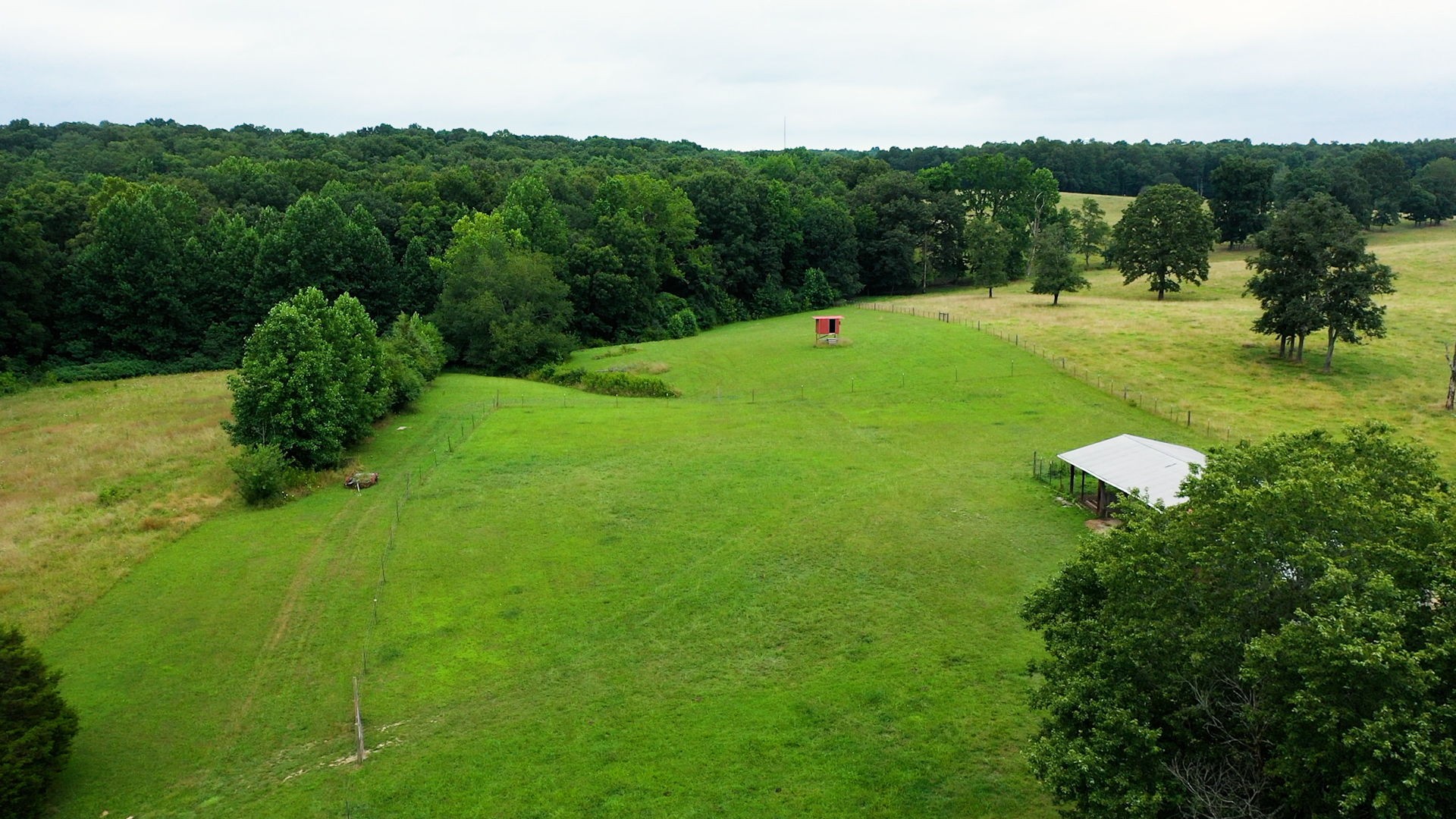 558 Furnace Hollow Road Dickson, TN 37055 - Photo 55 of 68 Gallery Image 55