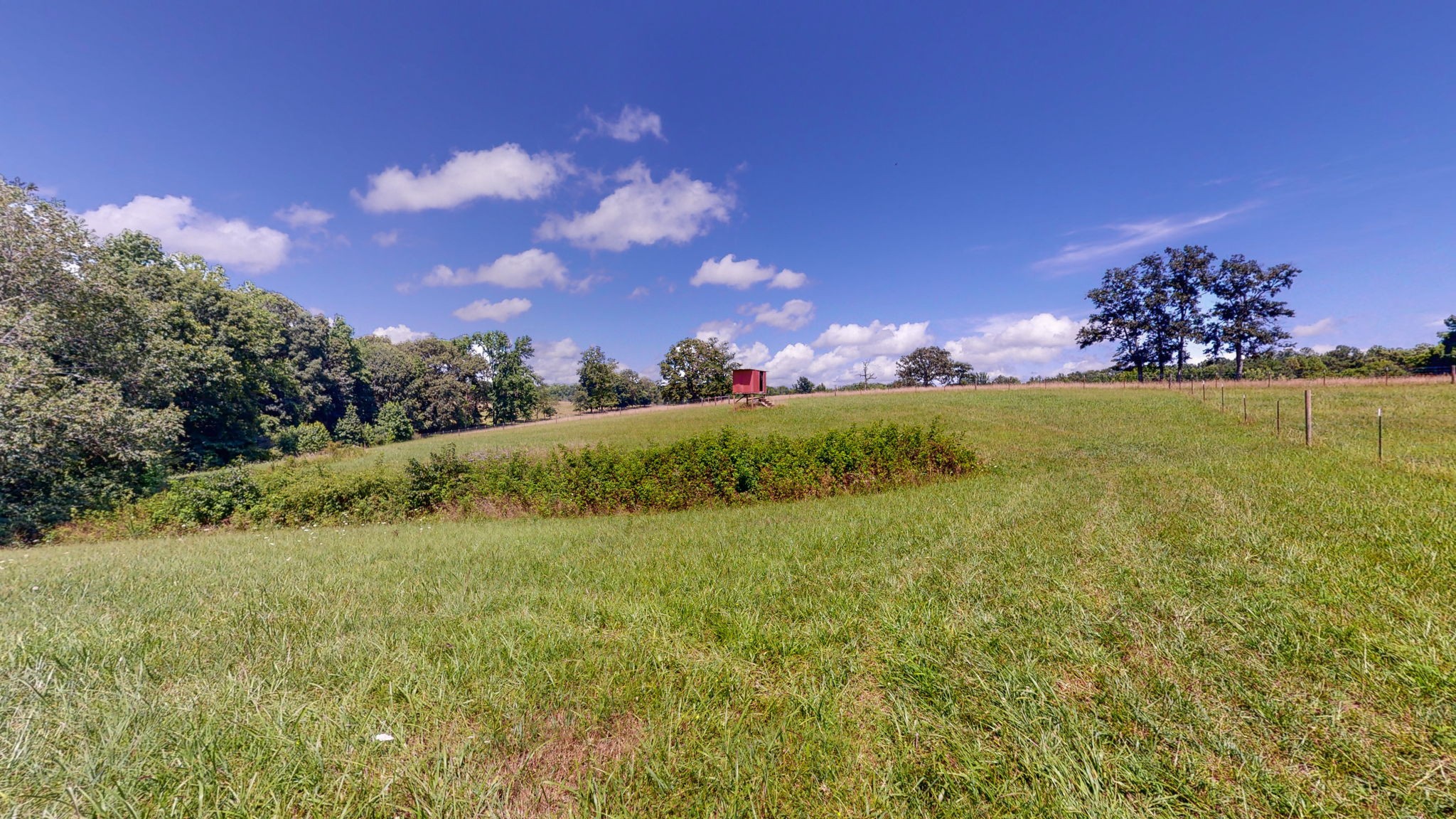 558 Furnace Hollow Road Dickson, TN 37055 - Photo 65 of 68 Gallery Image 65