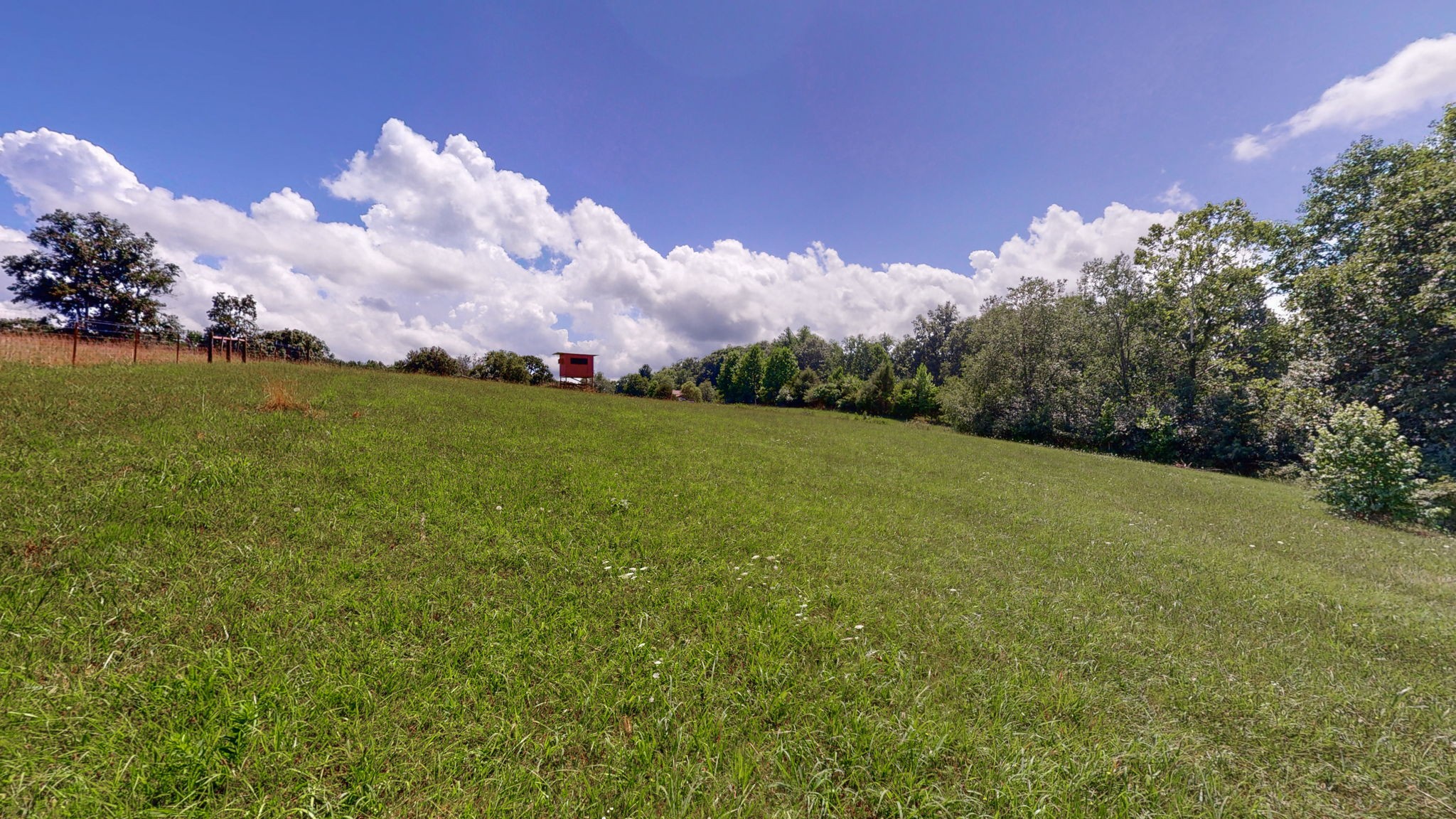 558 Furnace Hollow Road Dickson, TN 37055 - Photo 67 of 68 Gallery Image 67