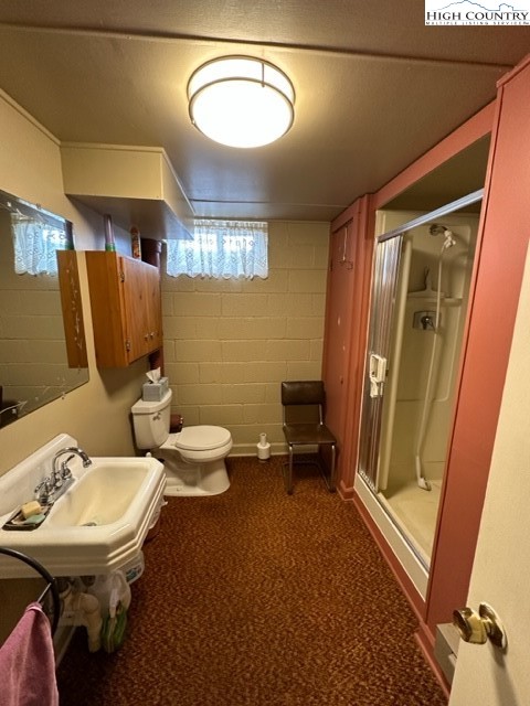 1083 Comers Rock Road Elk Creek, VA 24326 - Photo 22 of 39