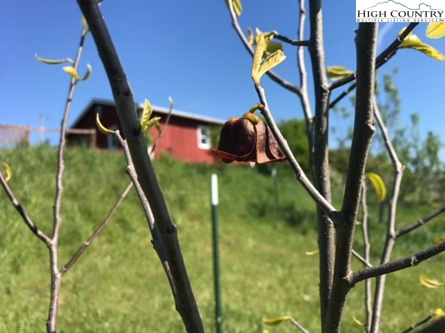 1083 Comers Rock Road Elk Creek, VA 24326 - Photo 30 of 39