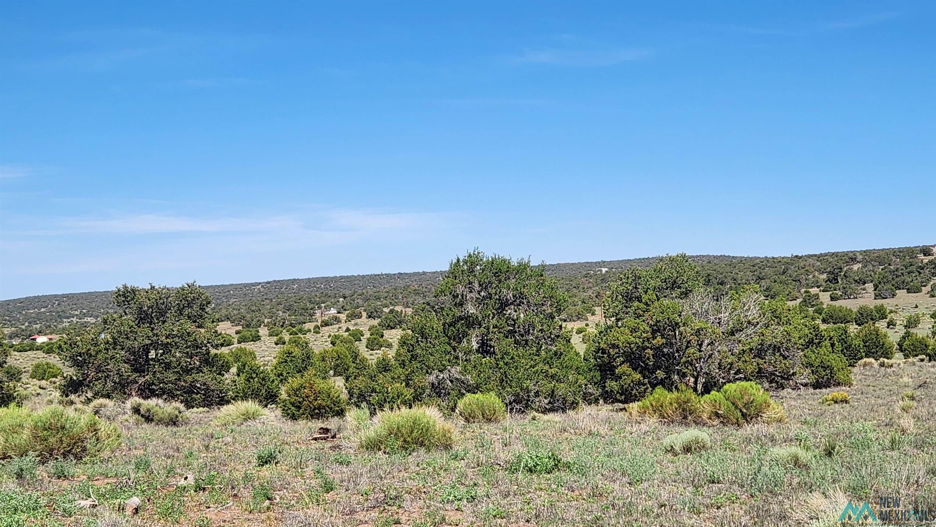 Tbd Tbd Tonto Road Quemado, NM 87829 - Photo 2 of 9