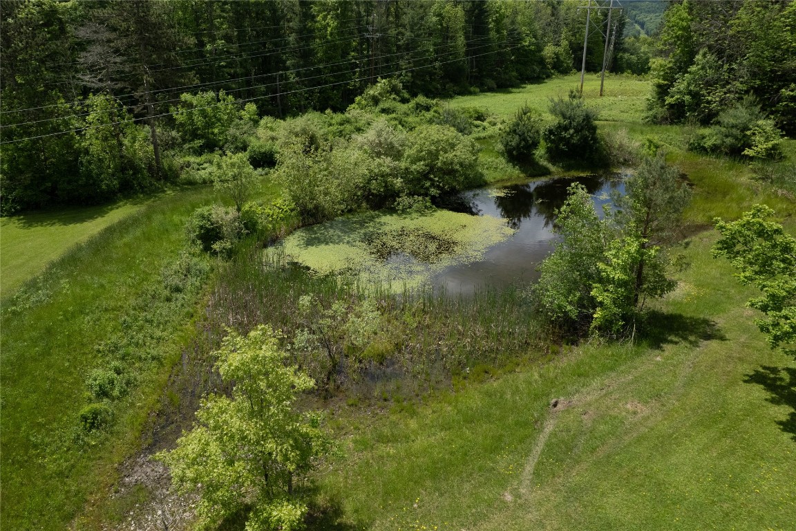 23 William Road Binghamton, NY 13901 - Photo 41 of 47 Gallery Image 41
