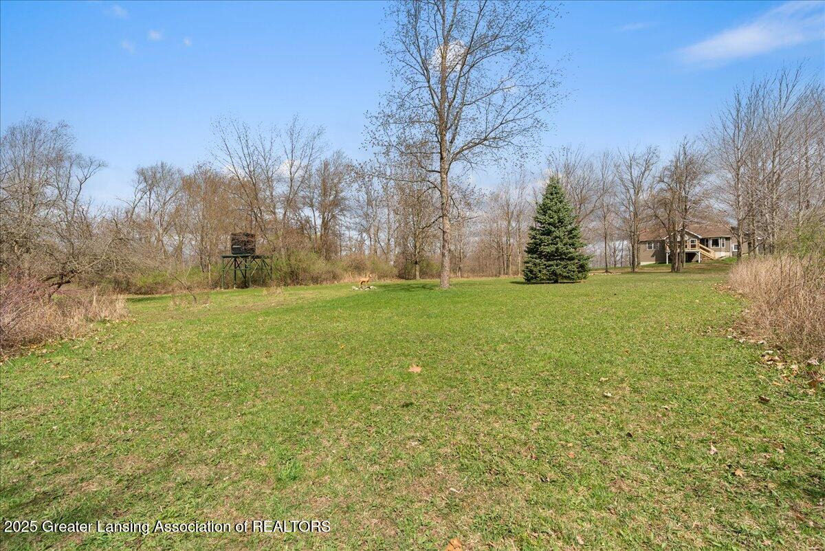 7700 East Walker Road Ovid, MI 48866 - Photo 37 of 48 40-Media Jett - 40