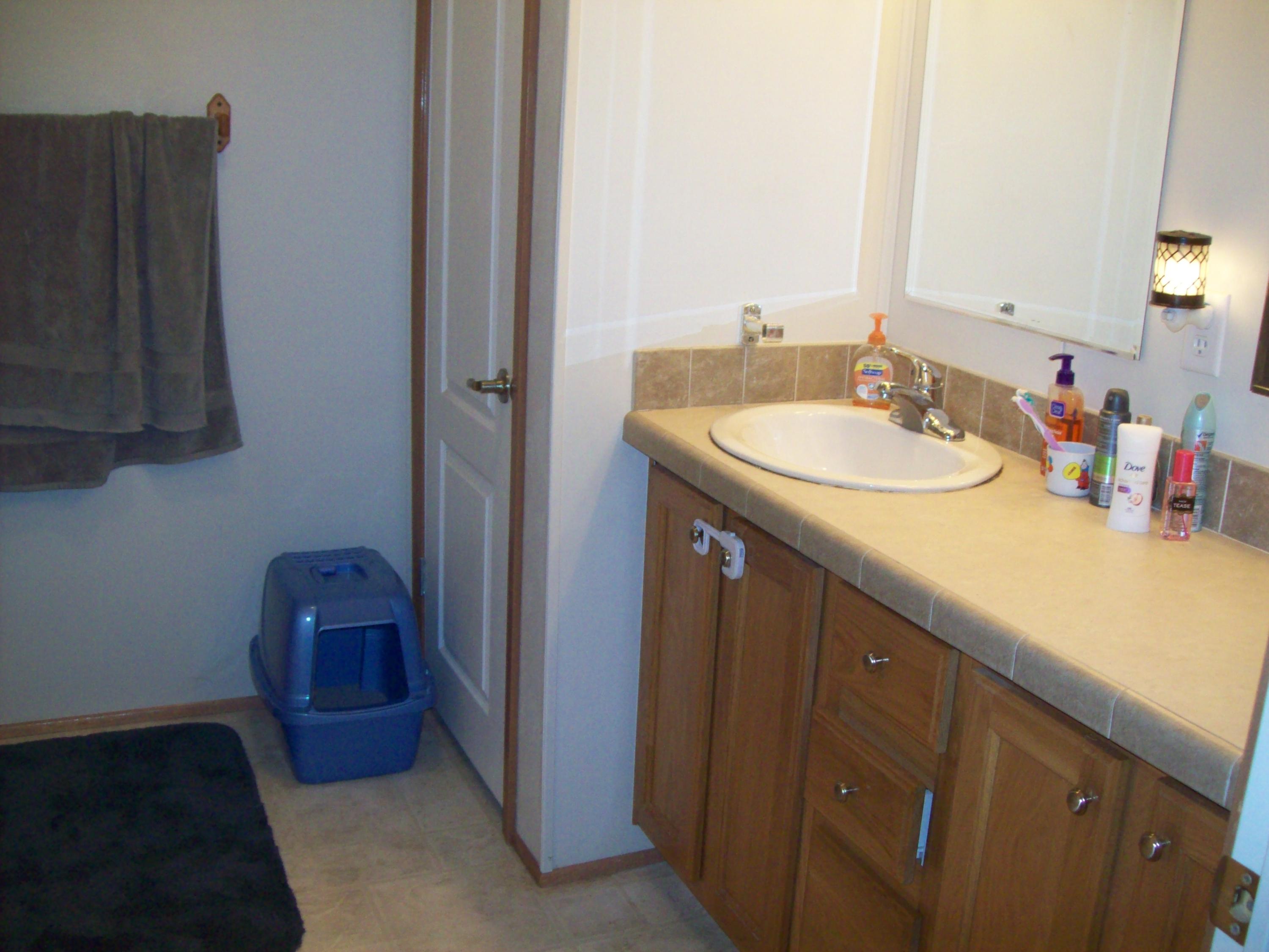 944 Mountain Valley Road Buchanan, VA 24066 - Photo 14 of 24 Master Bath