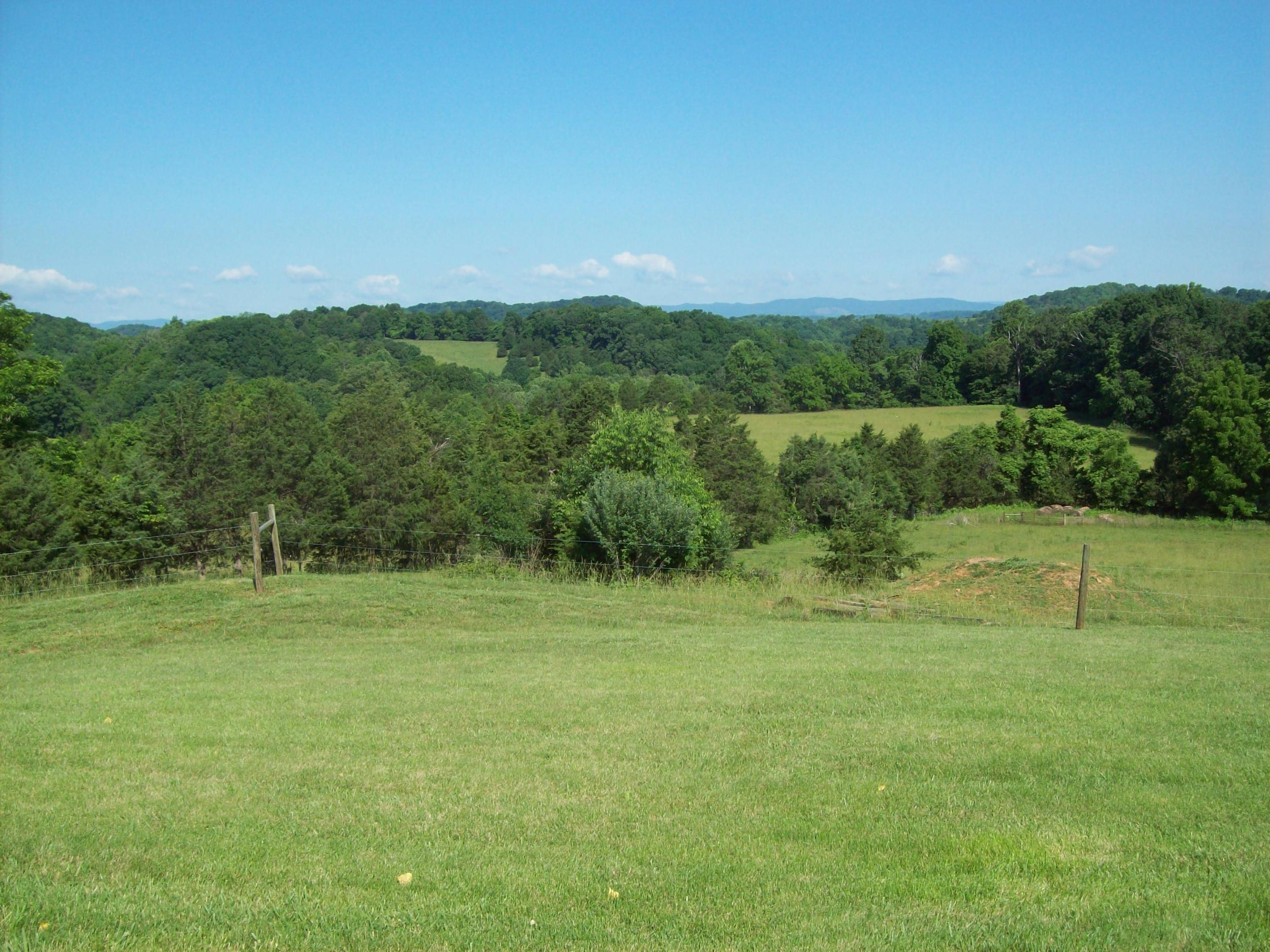944 Mountain Valley Road Buchanan, VA 24066 - Photo 23 of 24 Front View