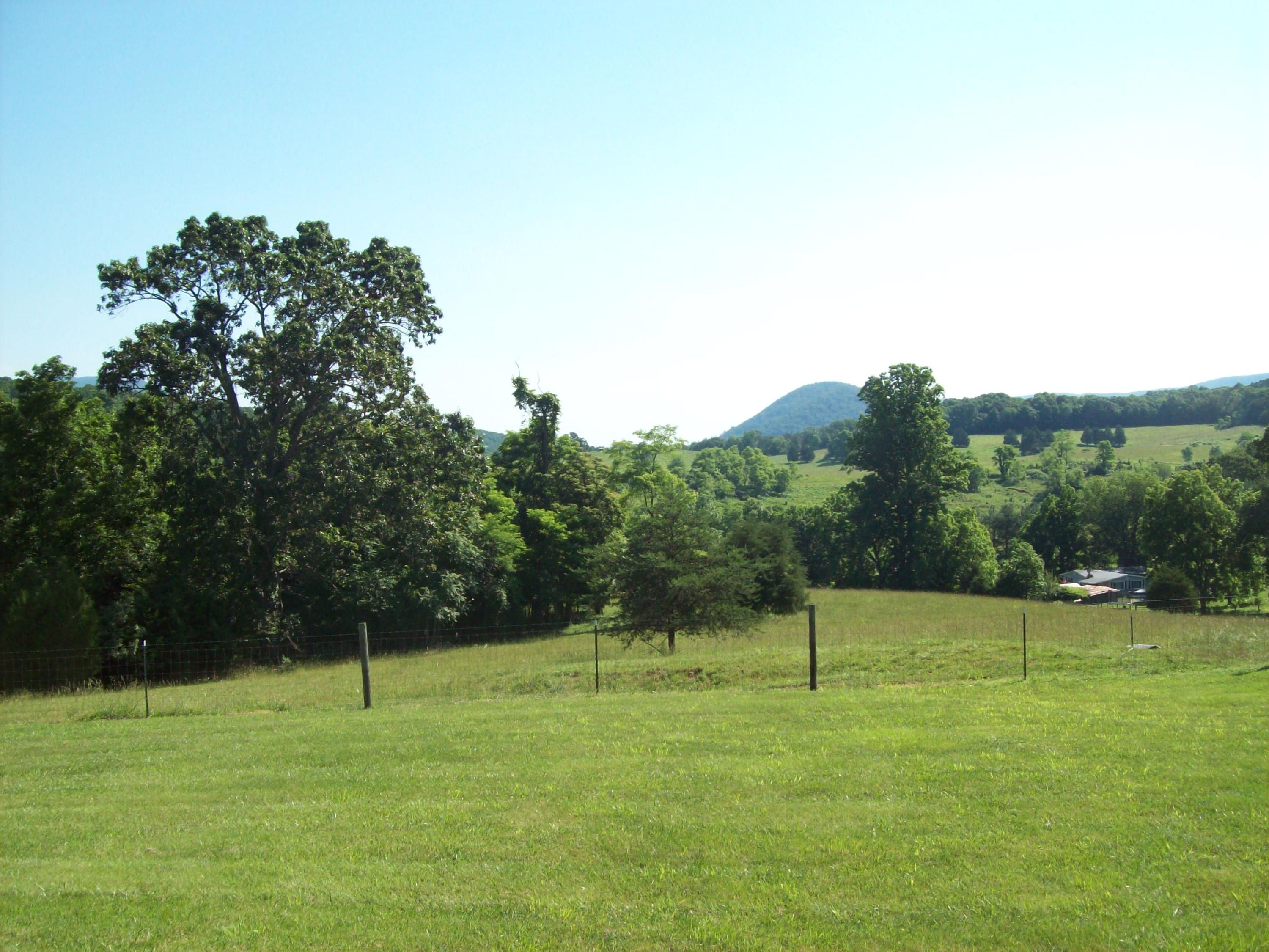 944 Mountain Valley Road Buchanan, VA 24066 - Photo 5 of 24 Pasture
