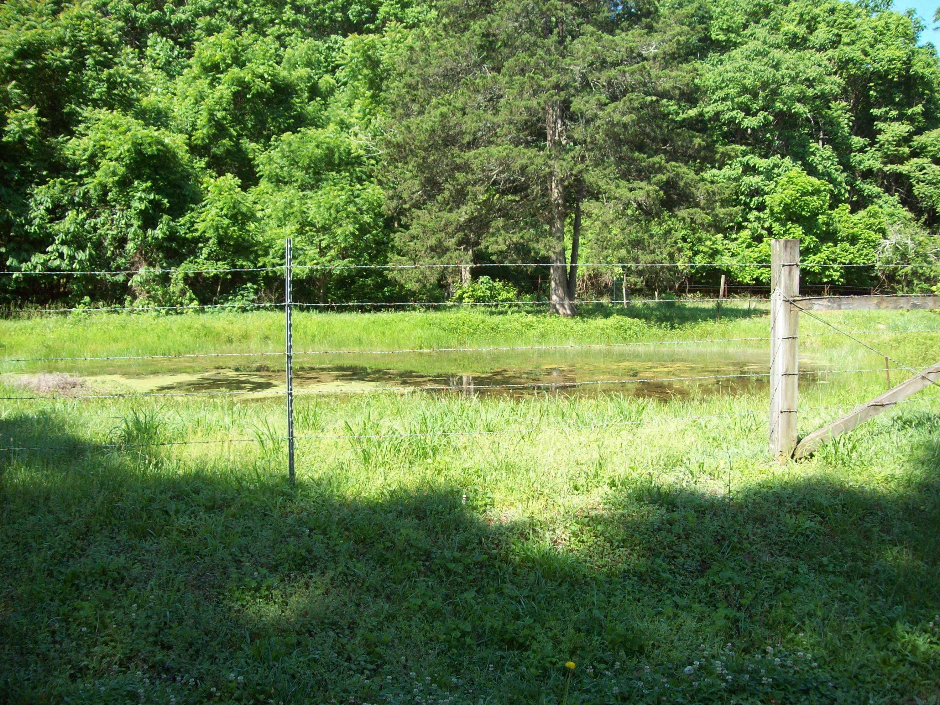 944 Mountain Valley Road Buchanan, VA 24066 - Photo 6 of 24 Pond