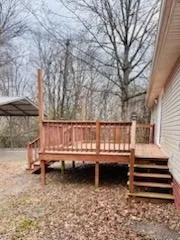 a view of a backyard with large trees
