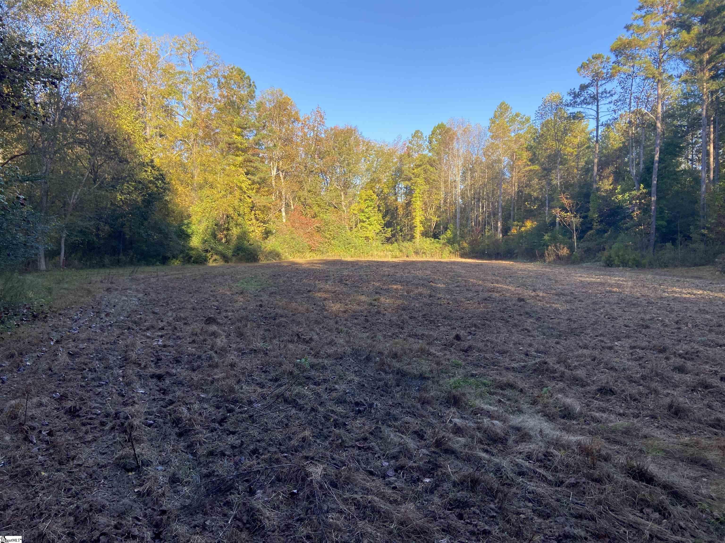 201 Craigo Road Gray Court, SC 29645 - Photo 34 of 36