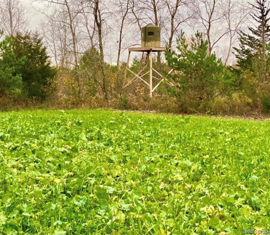 V/l Kelly Road Flushing, MI 48433 - Photo 2 of 23