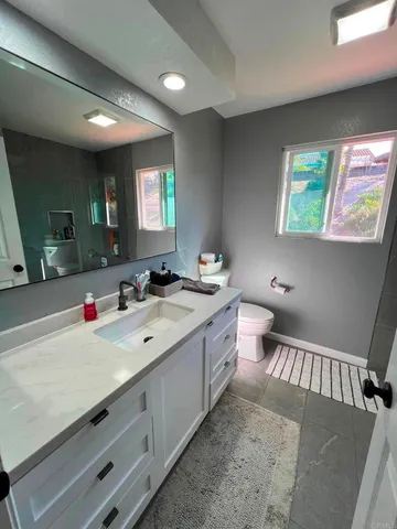 a bathroom with a sink a toilet and a mirror