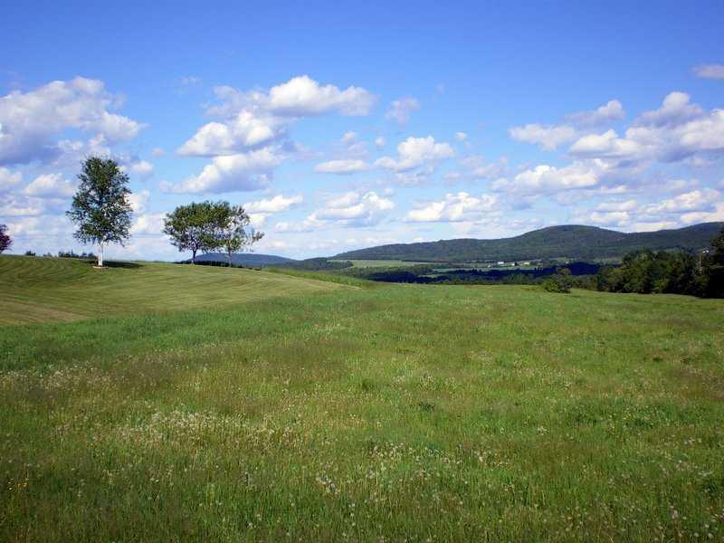 889 Dyer Brook Road Dyer Brook, ME 04747 - Photo 9 of 29 Land/Lot. Panoramic 31 surveyed acres