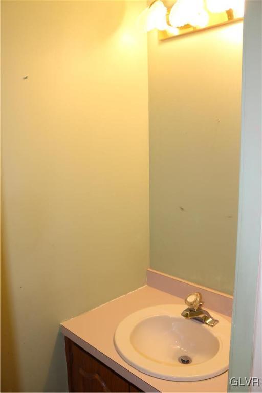 4190 Alder Road Bethlehem, PA 18020 - Photo 11 of 27 a bathroom with a sink and a mirror