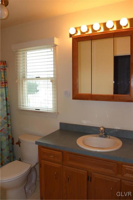 4190 Alder Road Bethlehem, PA 18020 - Photo 15 of 27 a bathroom with a sink a toilet and a mirror