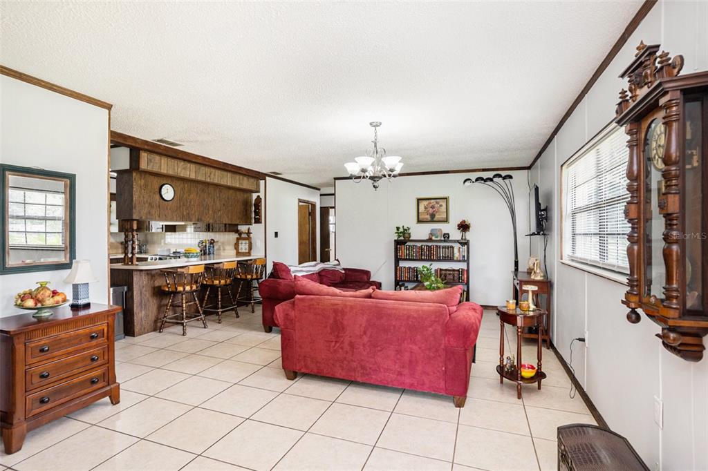 235 Old Welcome Road Lithia, FL 33547 - Photo 16 of 53 Gallery Image 16