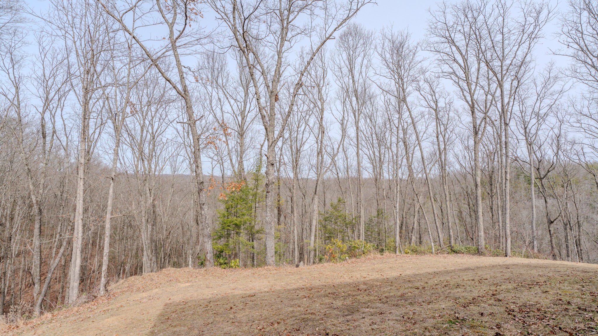 336 John J Smith Road Oneida, TN 37841 - Photo 50 of 61 Gallery Image 50