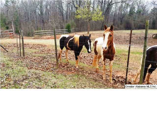 785 Highway 1 Bessemer, AL 35022 - Photo 3 of 17