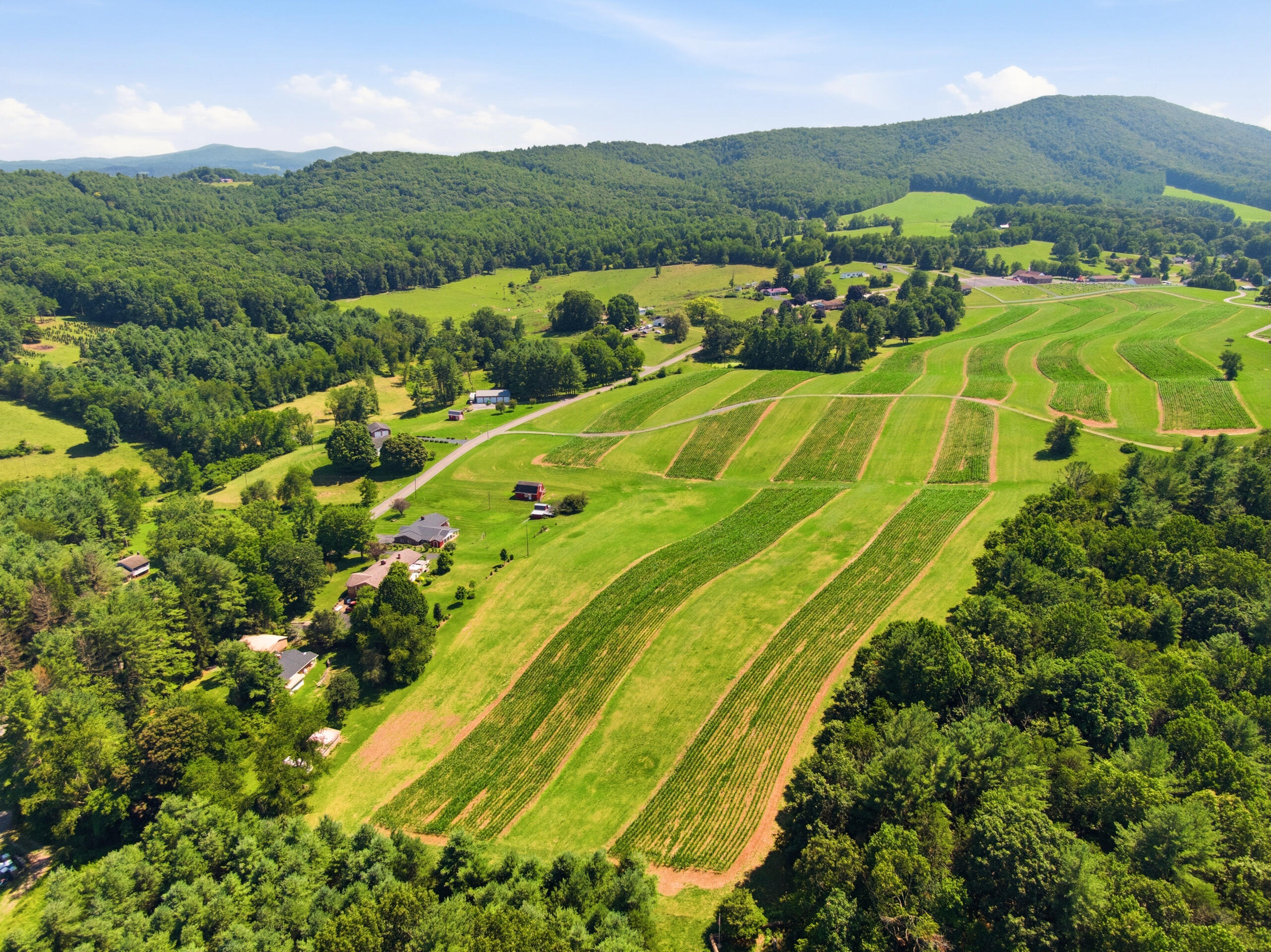 Tbd Ridgeview Road Northwest Floyd, VA 24091 - Photo 15 of 24 26-181-Ridgeview-Rd-NW-Floyd