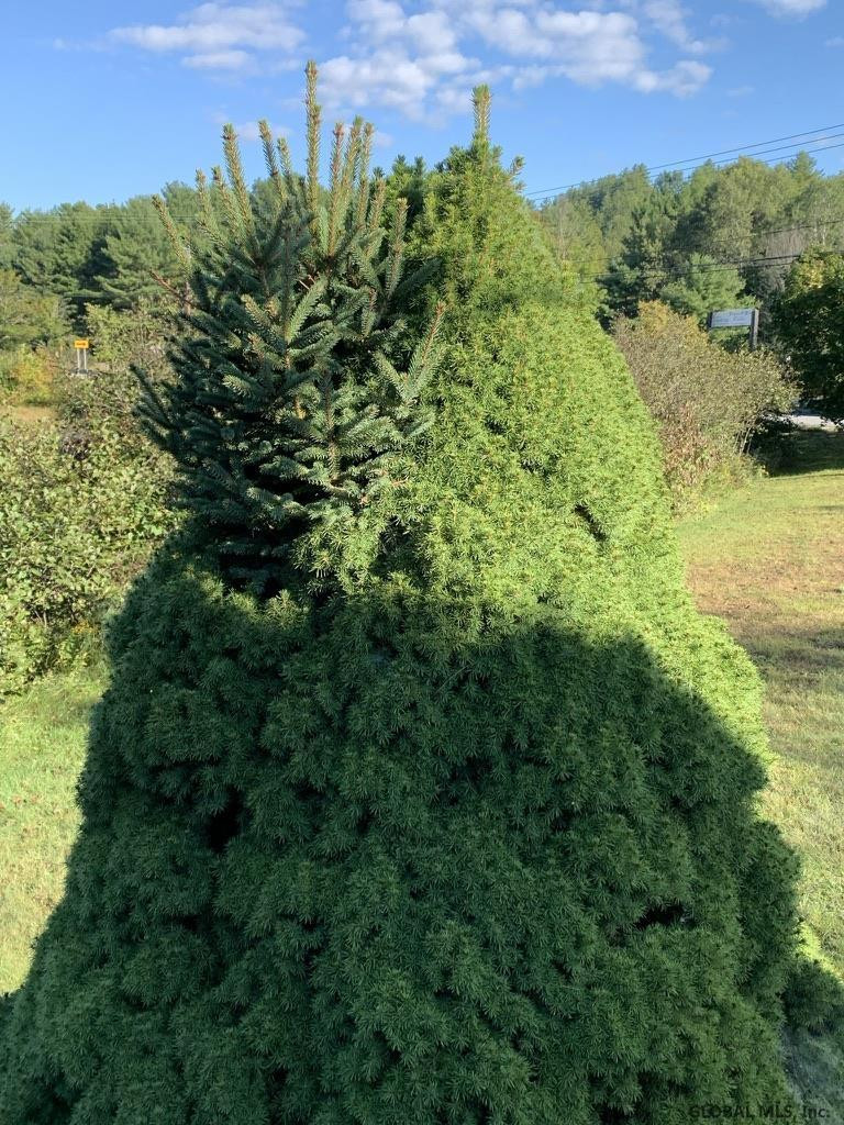 16 Riverside Drive Chester, NY 12817 - Photo 10 of 31 Photo 10