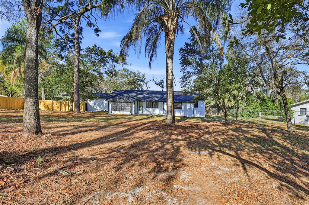 12703 North 53rd Street Temple Terrace, FL 33617 - Photo 43 of 49