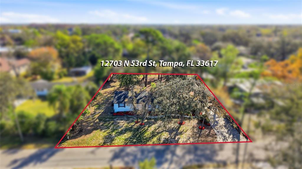 12703 North 53rd Street Temple Terrace, FL 33617 - Photo 45 of 49
