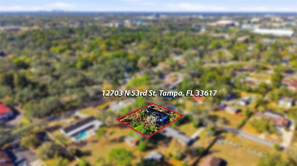12703 North 53rd Street Temple Terrace, FL 33617 - Photo 47 of 49