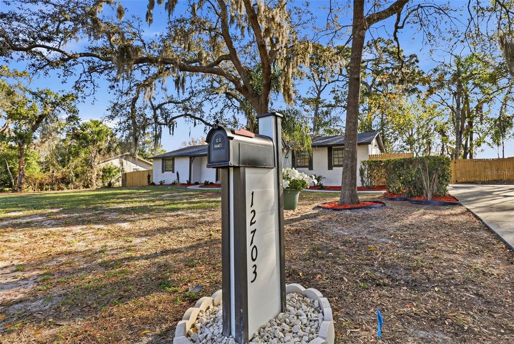 12703 North 53rd Street Temple Terrace, FL 33617 - Photo 5 of 49