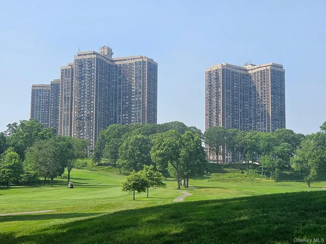 a garden with tall buildings in the background