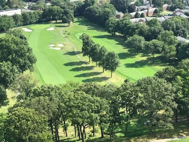 a green field with lots of trees