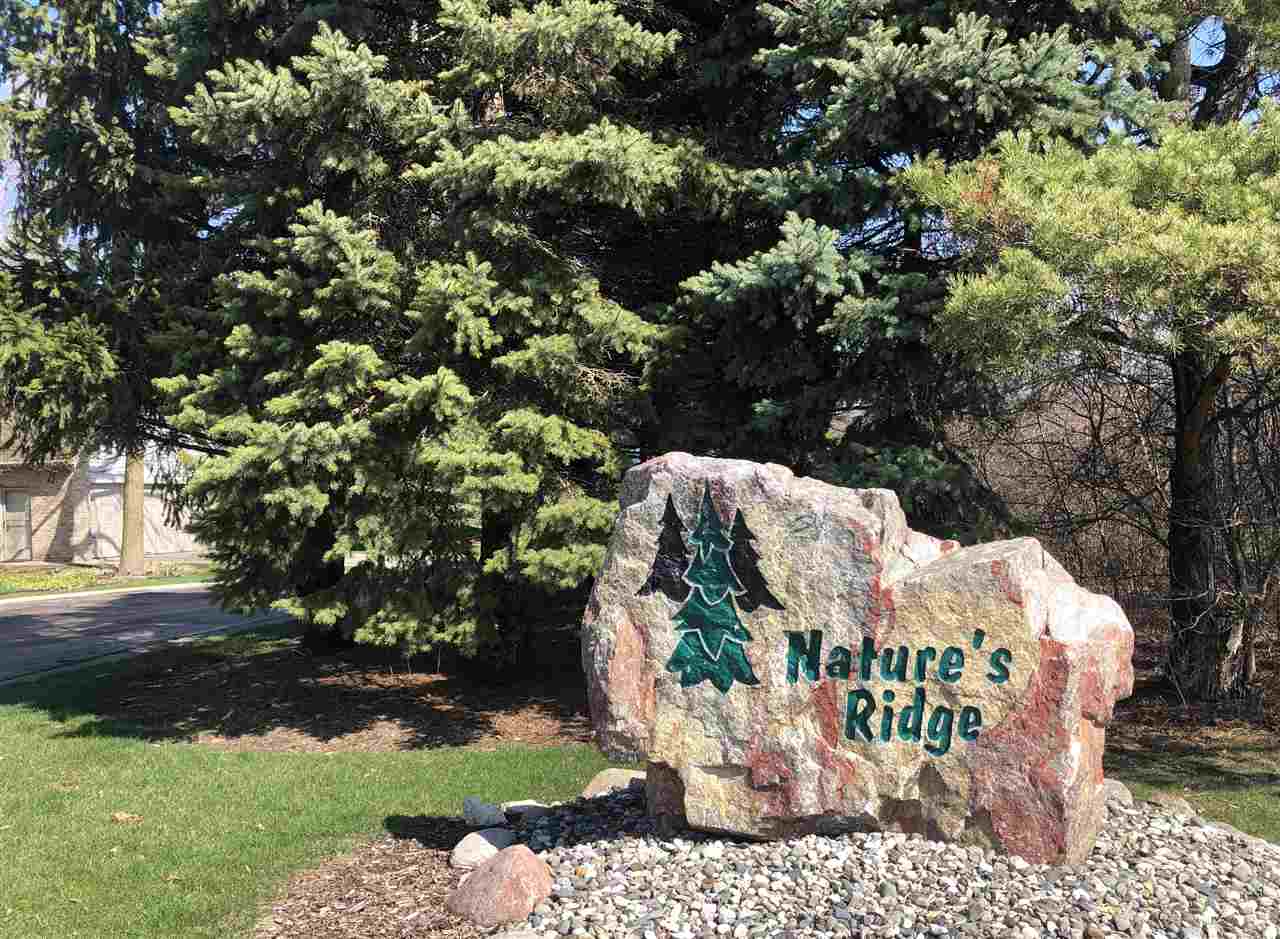 767 Nature's Ridge Lane Bay City, MI 48708 - Photo 8 of 44