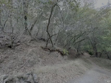 $50,000 | 0 Cypress Drive, Fairfax, CA 94930