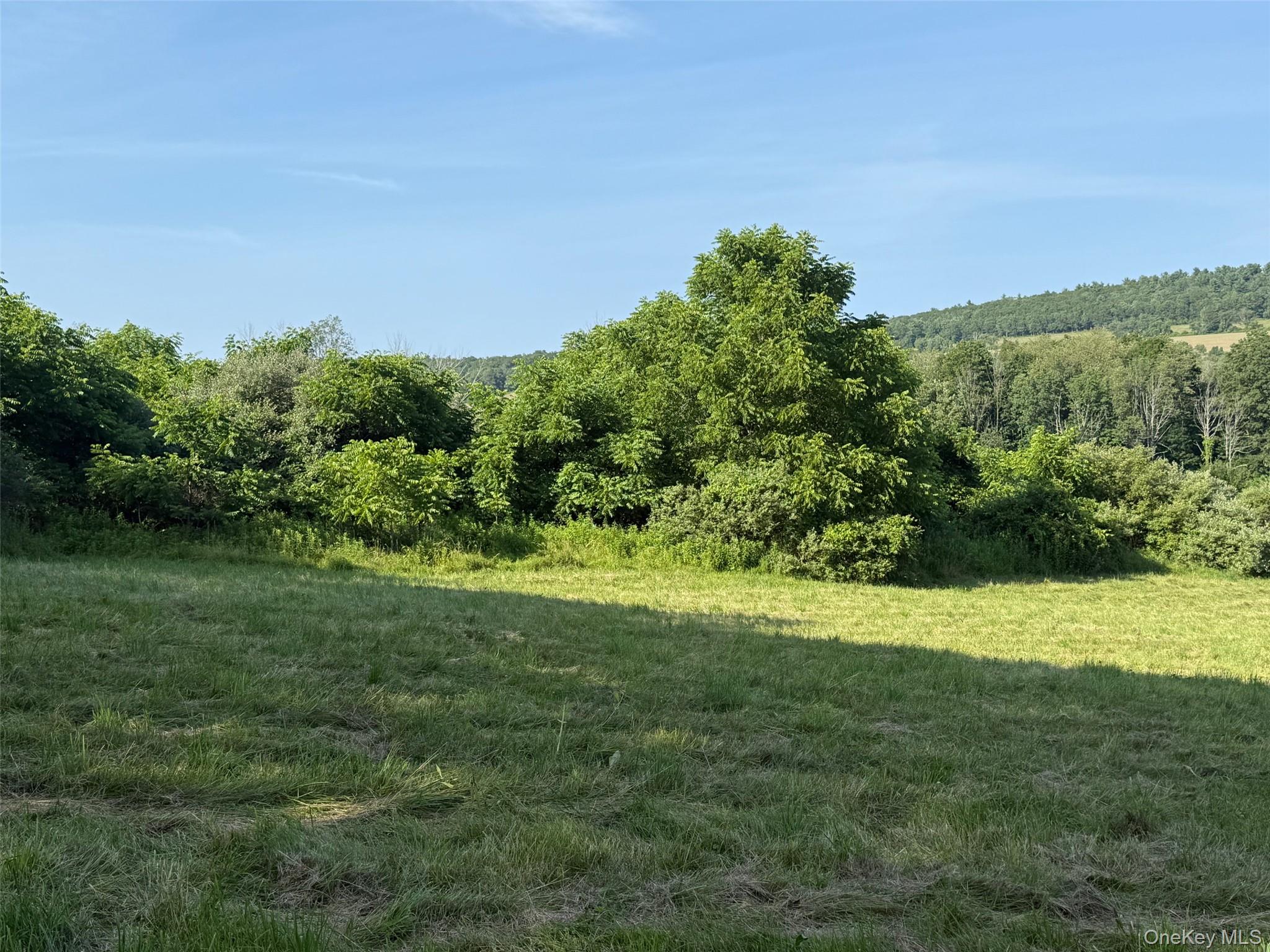 Smithfield Road Millerton, NY 12546 - Photo 7 of 10 View of wooded area