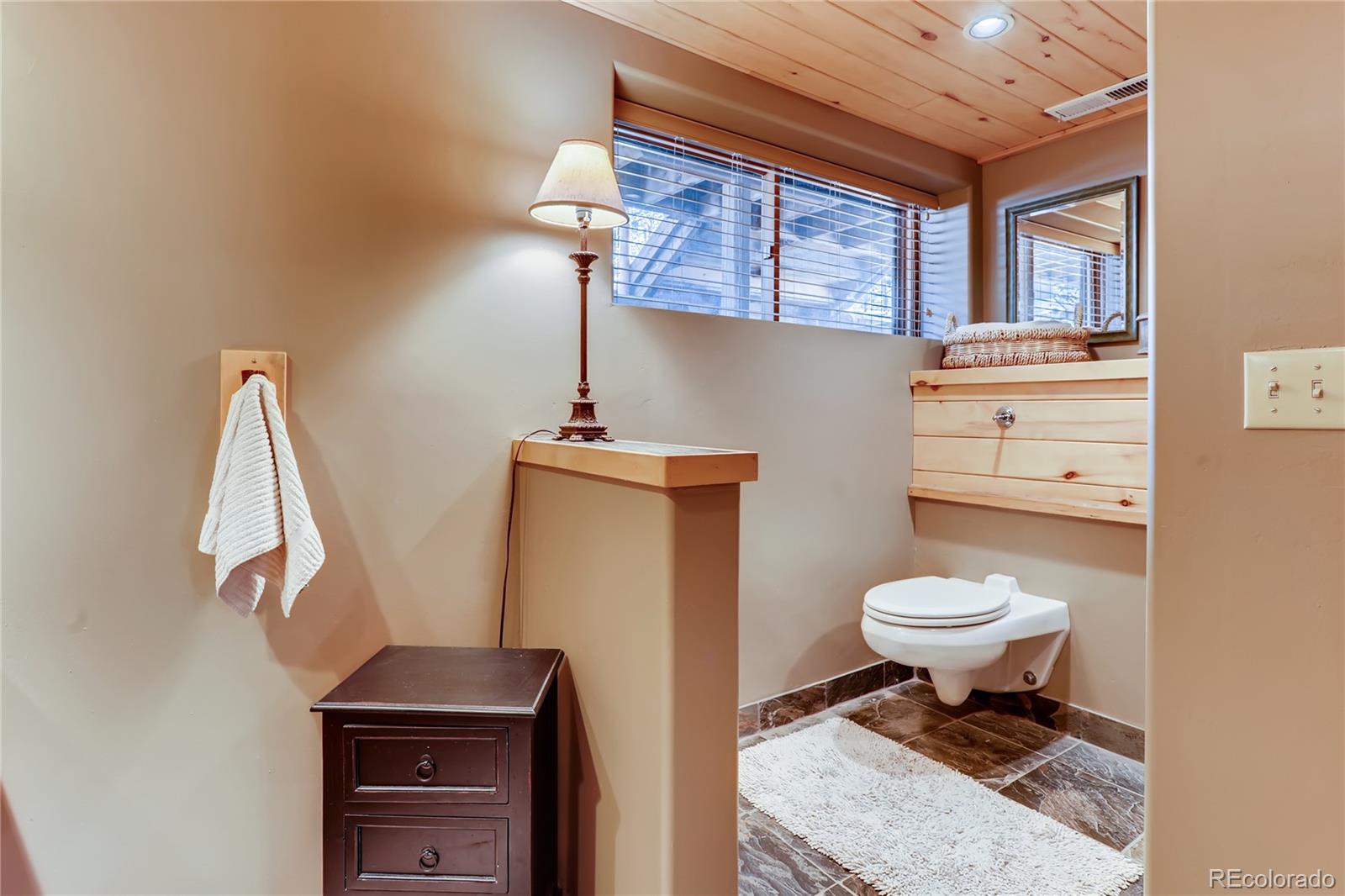 193 Twilight Terrace Drive Bailey, CO 80421 - Photo 18 of 34 a bathroom with a toilet a sink and a window