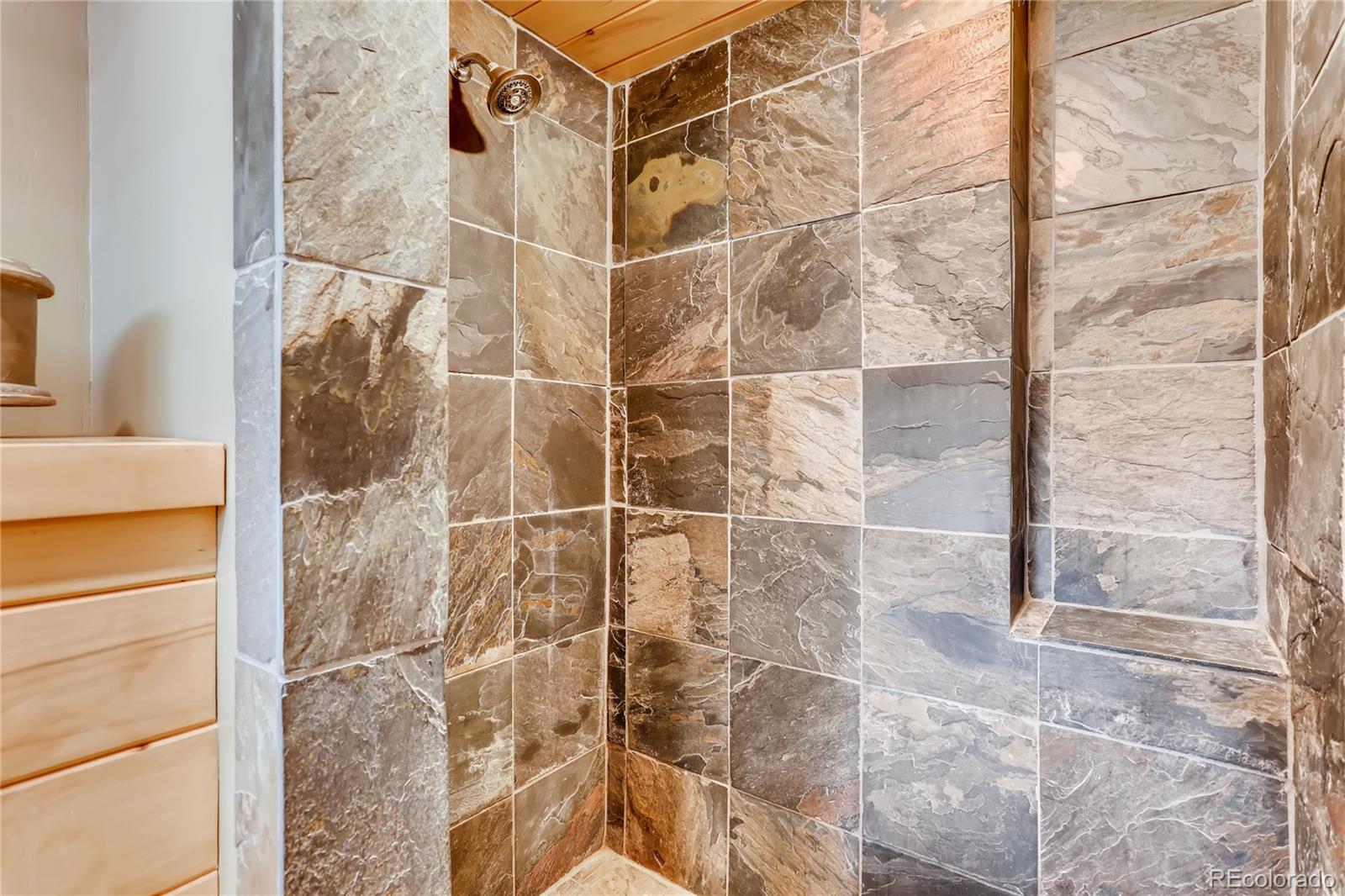 193 Twilight Terrace Drive Bailey, CO 80421 - Photo 19 of 34 a bathroom with a shower