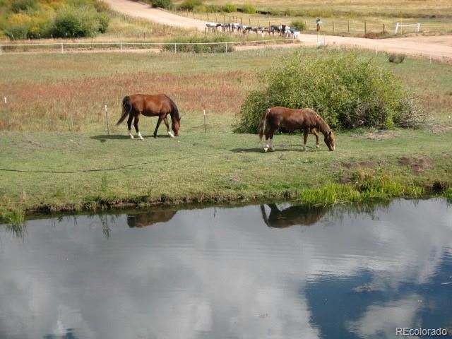 193 Twilight Terrace Drive Bailey, CO 80421 - Photo 30 of 34