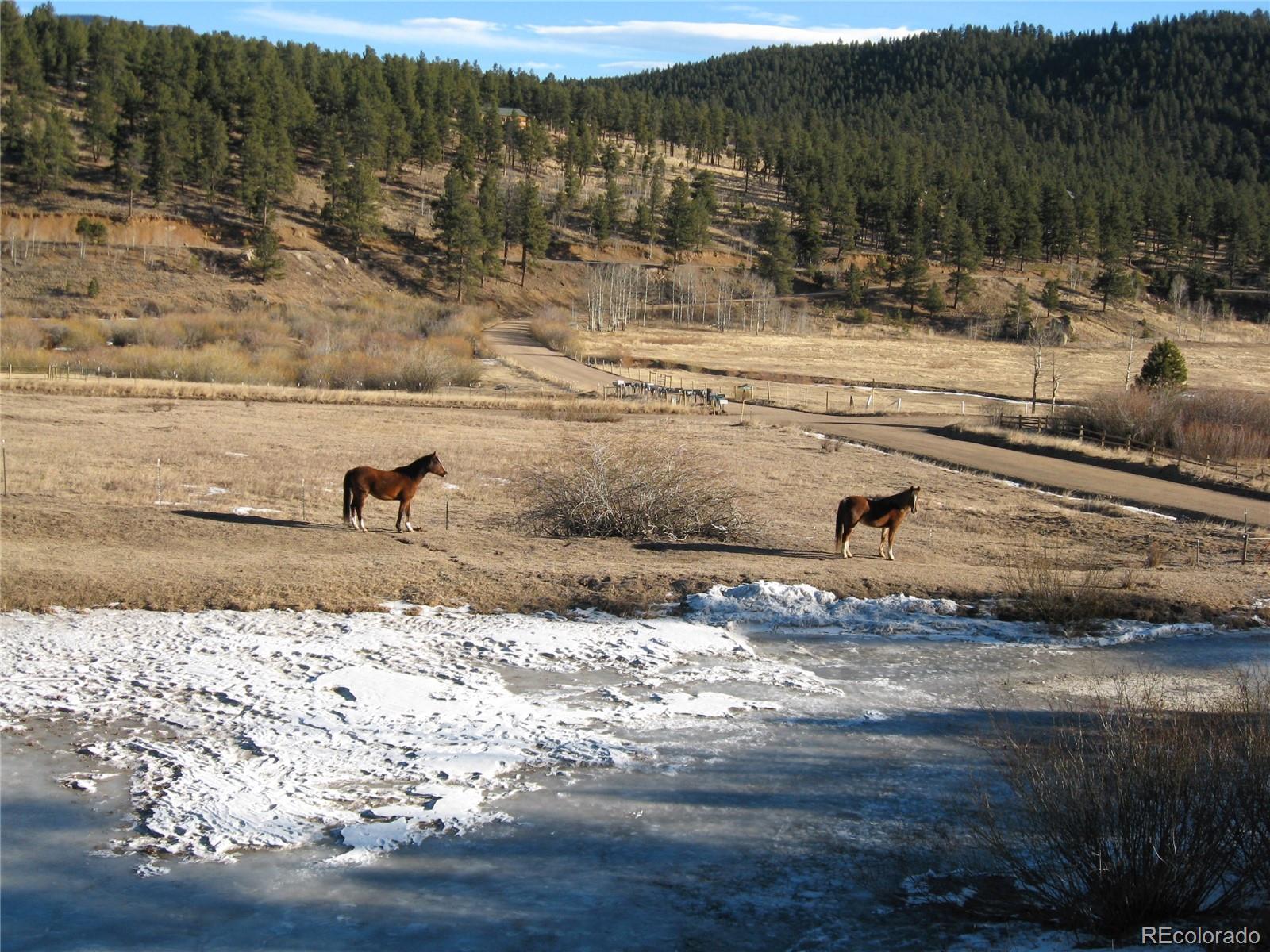 193 Twilight Terrace Drive Bailey, CO 80421 - Photo 33 of 34 a view of a lake with a mountain