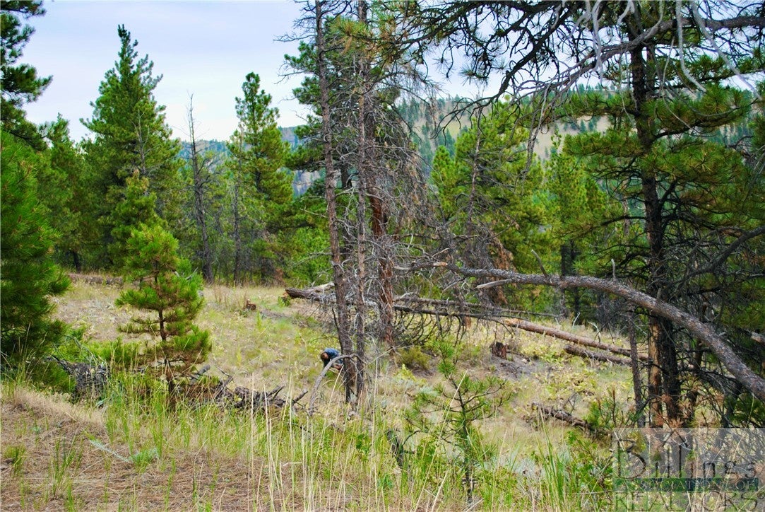 0 Box Canyon Lane Cascade, MT 59421 - Photo 4 of 13 Gallery Image 4
