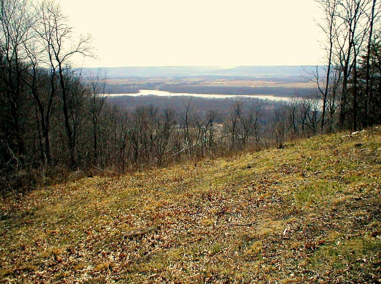 Lot 2 Alma Hills Alma, WI 54610 - Photo 6 of 20