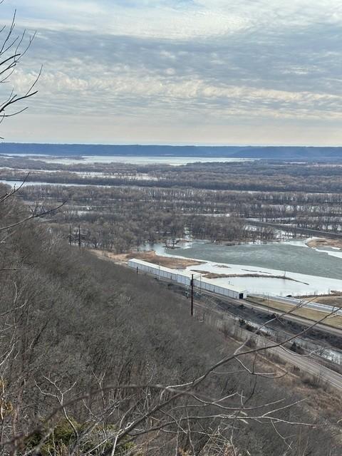 Lot 2 Alma Hills Alma, WI 54610 - Photo 10 of 20