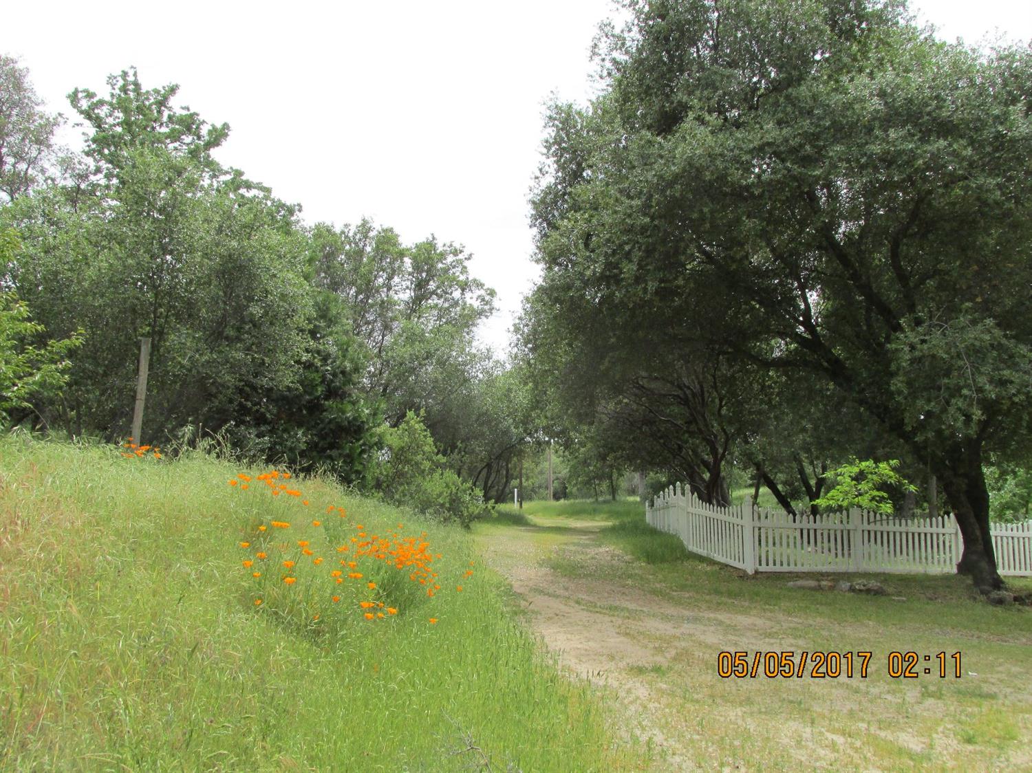 46437 Skyline Ridge Road Coarsegold, CA 93614 - Photo 66 of 86 Gallery Image 66