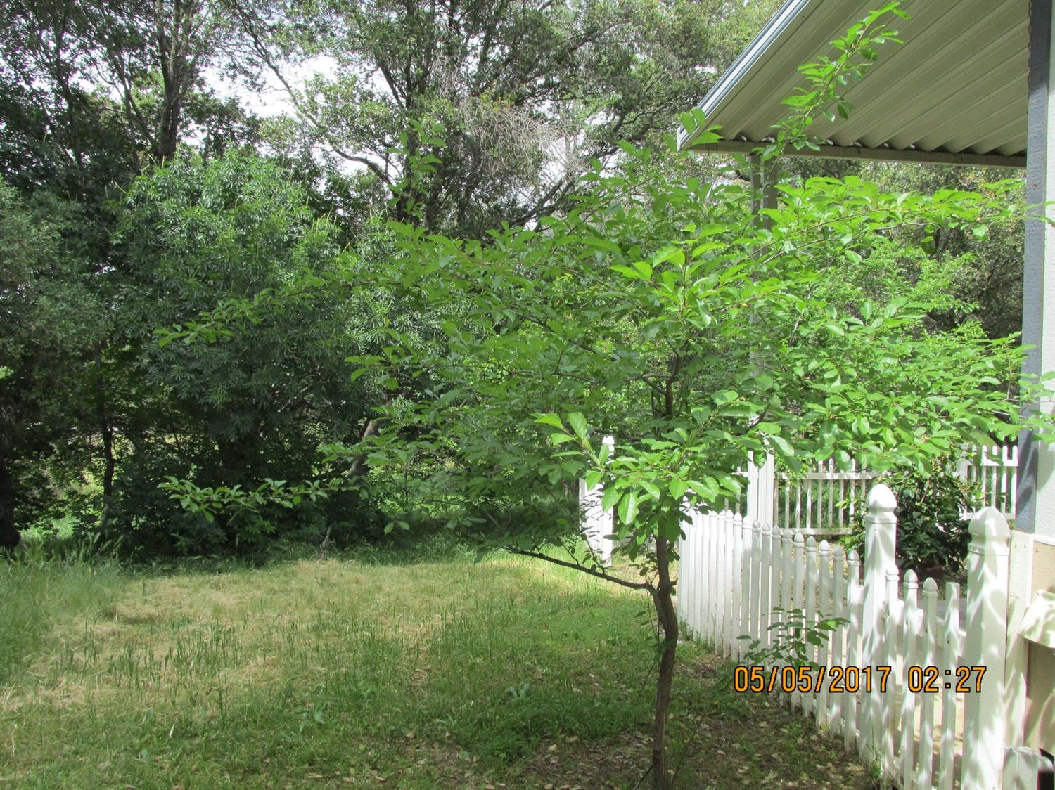 46437 Skyline Ridge Road Coarsegold, CA 93614 - Photo 72 of 86 Gallery Image 72