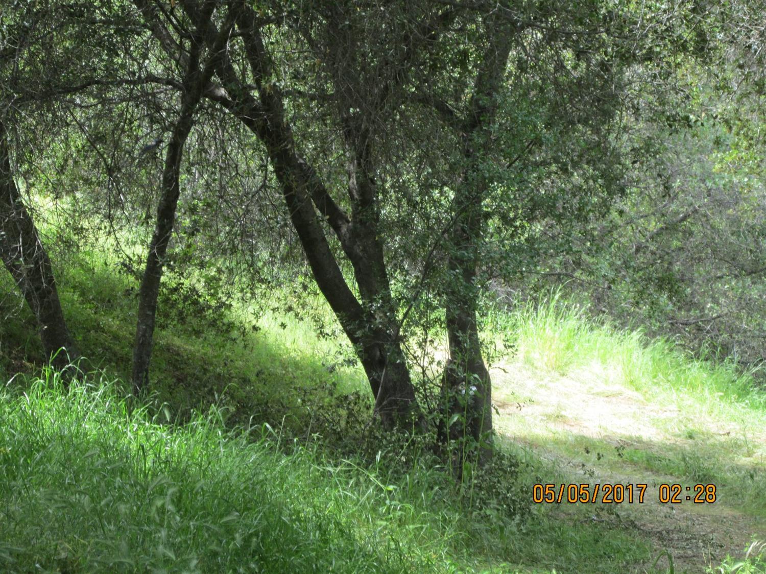 46437 Skyline Ridge Road Coarsegold, CA 93614 - Photo 73 of 86 Gallery Image 73
