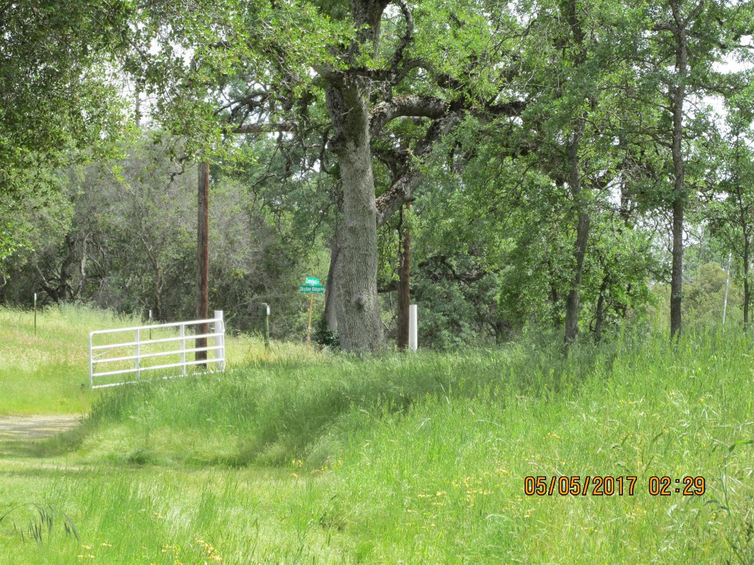 46437 Skyline Ridge Road Coarsegold, CA 93614 - Photo 74 of 86 Gallery Image 74