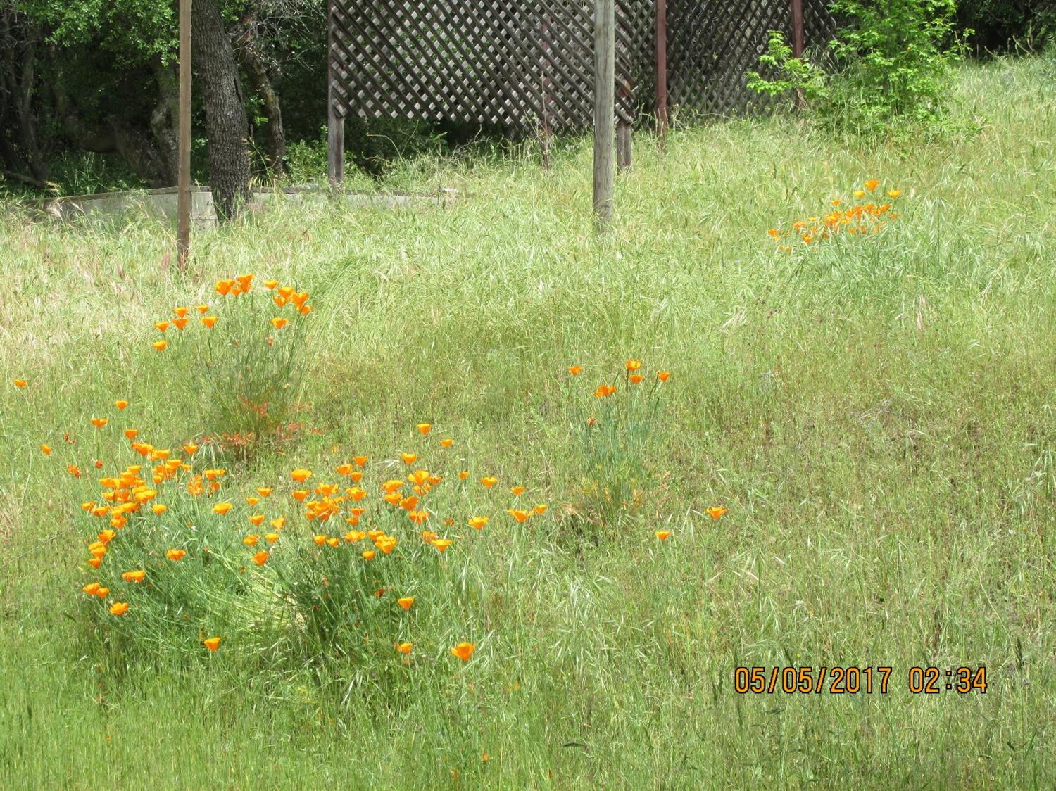 46437 Skyline Ridge Road Coarsegold, CA 93614 - Photo 83 of 86 Gallery Image 83