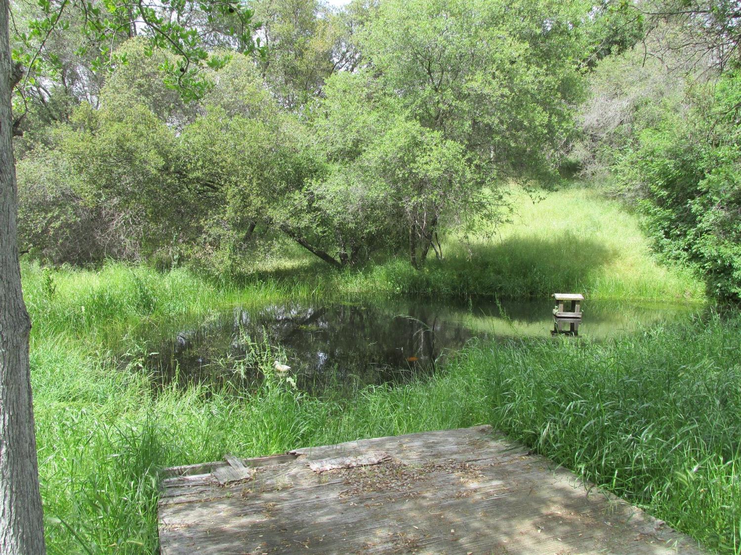46437 Skyline Ridge Road Coarsegold, CA 93614 - Photo 84 of 86 Gallery Image 84